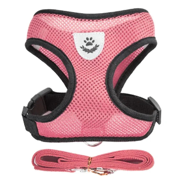 Breathable Mesh Harness & Leash Set for Cats & Dogs
