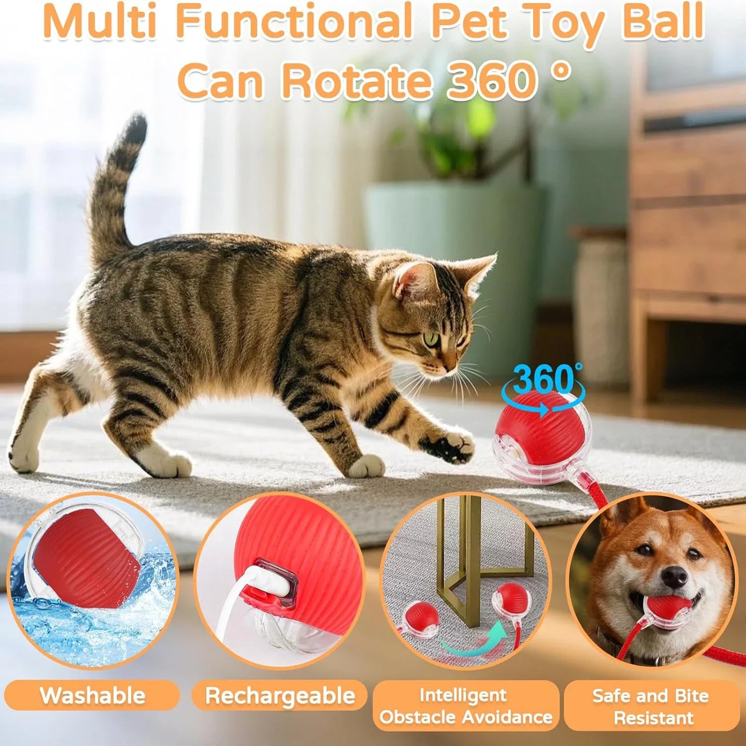 Velmora ChaseTail™ Interactive Ball