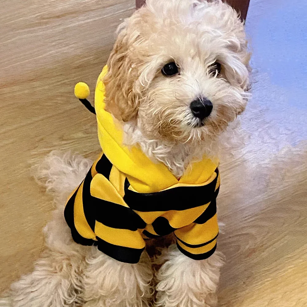 Bee Costume Hoodie for Dogs & Cats