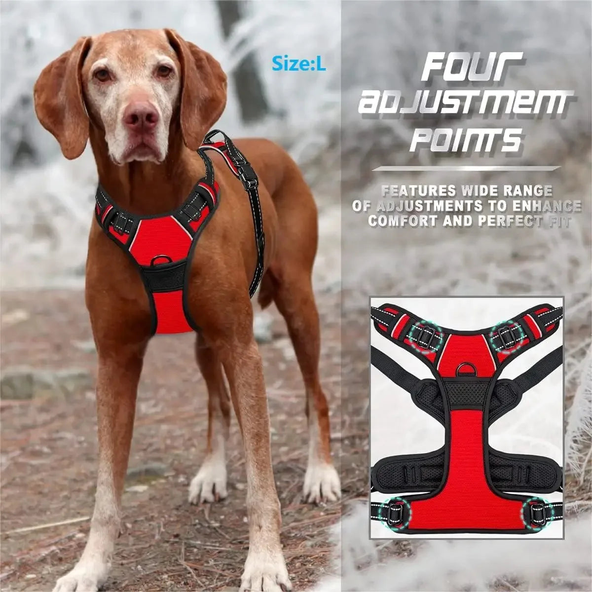 Leather Dog Collar, Harness & Leash 3-Piece Set