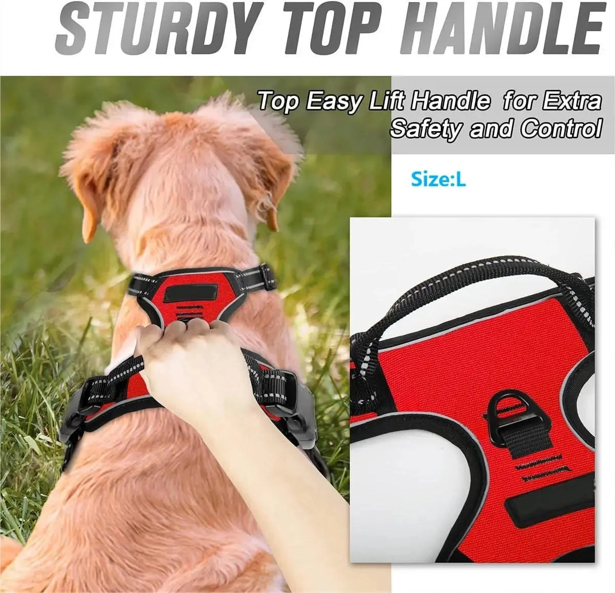 Leather Dog Collar, Harness & Leash 3-Piece Set